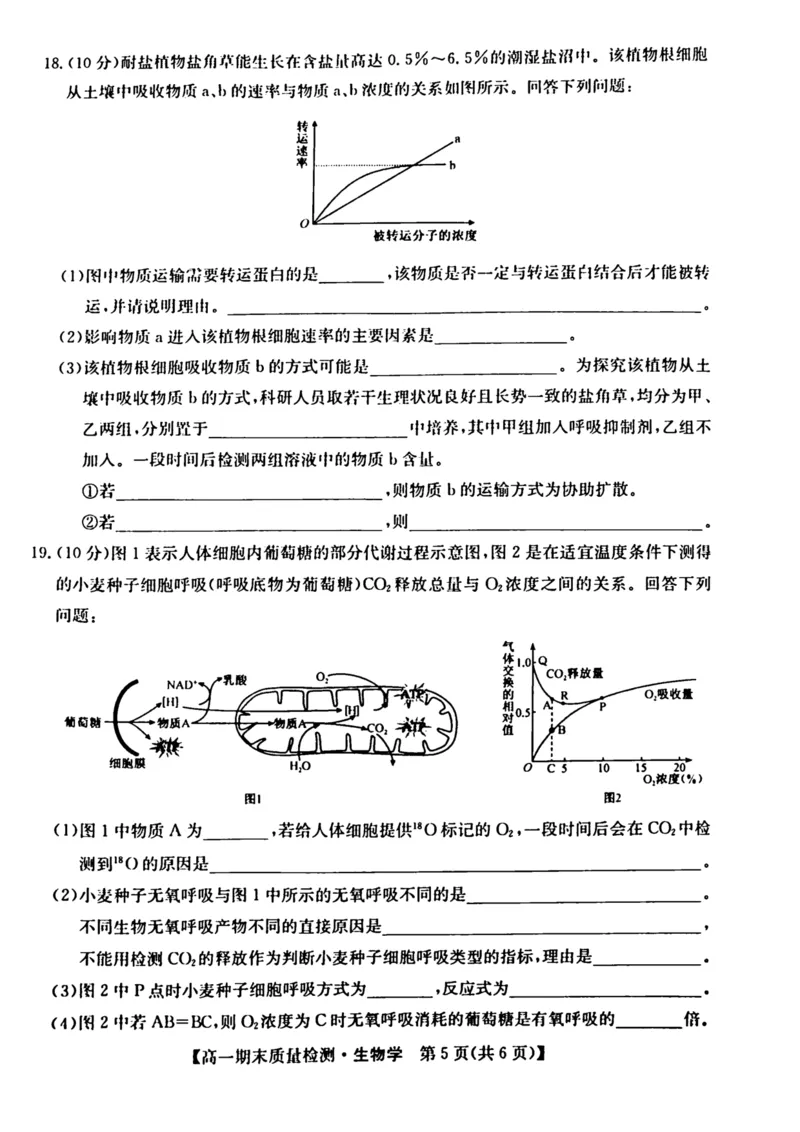 陕西省榆林市八校联考2024-2025学年高一上学期1月期末考试生物PDF版含解析_2024-2025高一（7-7月题库）_2025年01月试卷_0120陕西省榆林市八校联考2024-2025学年高一上学期1月期末考试