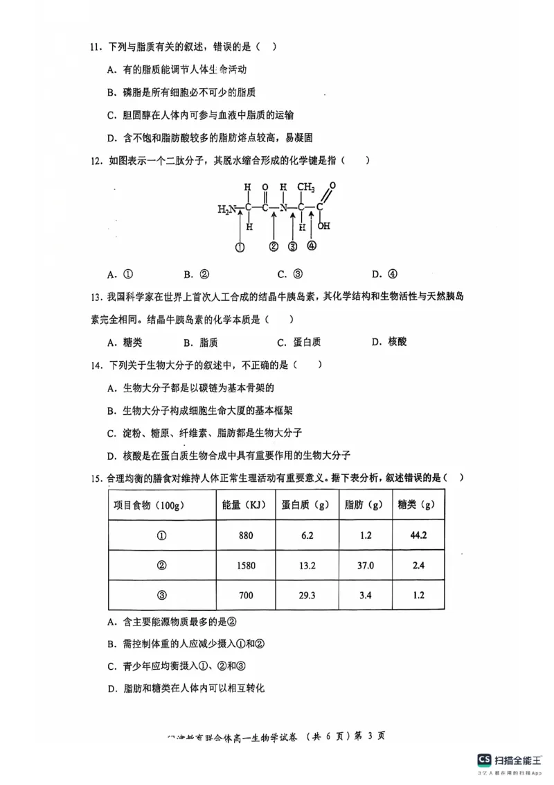 湖北省武汉市问津教育联合体2024-2025学年高一上学期10月联考试题生物PDF版含解析_2024-2025高一（7-7月题库）_2024年11月试卷_1106湖北省问津教育联合体2024-2025学年高一上学期10月联考