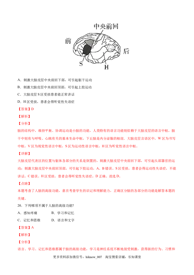 高二生物上学期期中测试卷02（人教版2019选择性必修1）（解析版）_E015高中全科试卷_生物试题_选修1_3.期中测试_高二生物上学期期中测试卷02（人教版2019选择性必修1）(25207119)