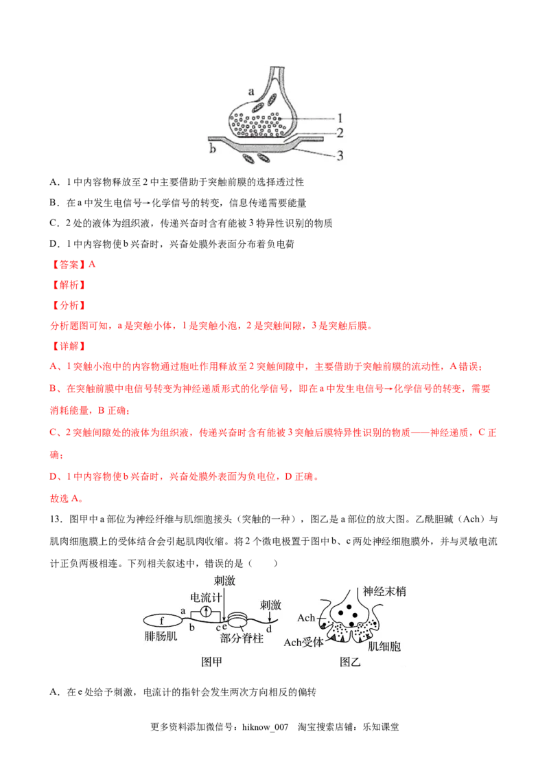 高二生物上学期期中测试卷02（人教版2019选择性必修1）（解析版）_E015高中全科试卷_生物试题_选修1_3.期中测试_高二生物上学期期中测试卷02（人教版2019选择性必修1）(25207119)
