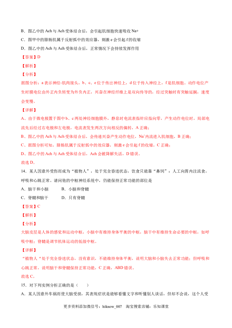 高二生物上学期期中测试卷02（人教版2019选择性必修1）（解析版）_E015高中全科试卷_生物试题_选修1_3.期中测试_高二生物上学期期中测试卷02（人教版2019选择性必修1）(25207119)