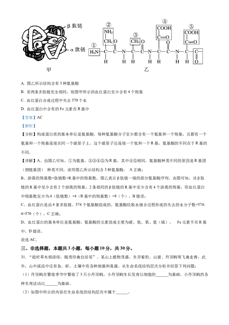 湖南省长沙市明德中学2024-2025学年高一上学期第一次阶段检测生物试题Word版含解析_2024-2025高一（7-7月题库）_2024年10月试卷