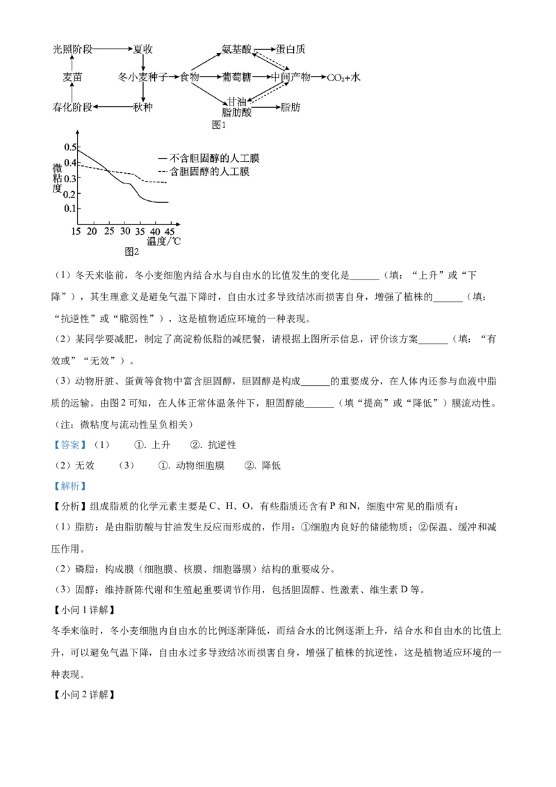 湖南省长沙市明德中学2024-2025学年高一上学期第一次阶段检测生物试题Word版含解析_2024-2025高一（7-7月题库）_2024年10月试卷