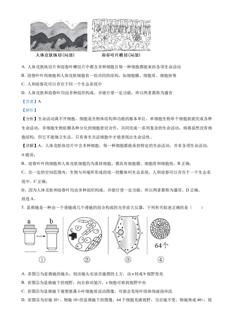湖南省长沙市明德中学2024-2025学年高一上学期第一次阶段检测生物试题Word版含解析_2024-2025高一（7-7月题库）_2024年10月试卷