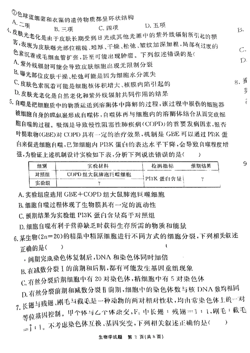 安徽省耀正优2023-2024学年高三上学期期末测试生物试题(1)_2024年2月_022月合集_2024届安徽&ldquo;耀正优+&rdquo;高三名校期末测试