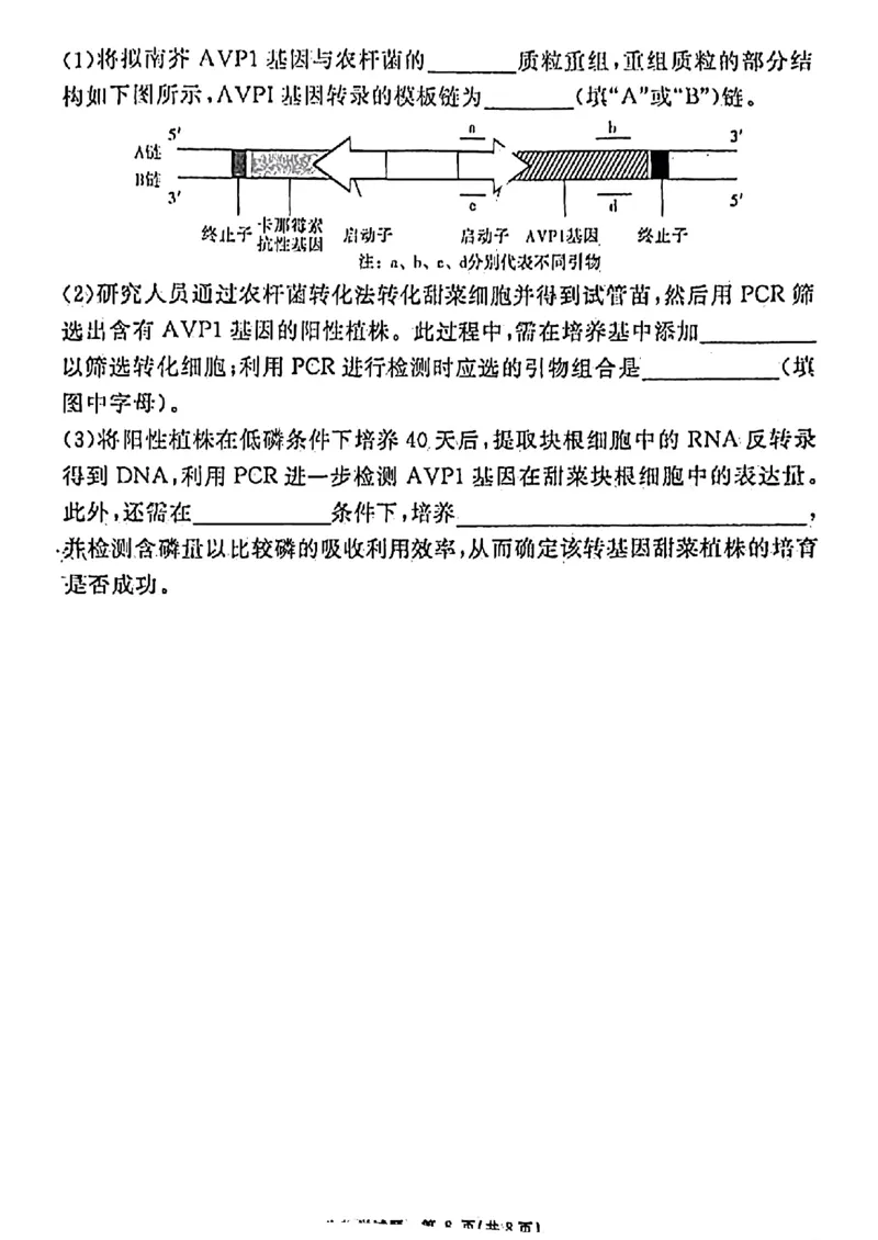 安徽省耀正优2023-2024学年高三上学期期末测试生物试题(1)_2024年2月_022月合集_2024届安徽&ldquo;耀正优+&rdquo;高三名校期末测试
