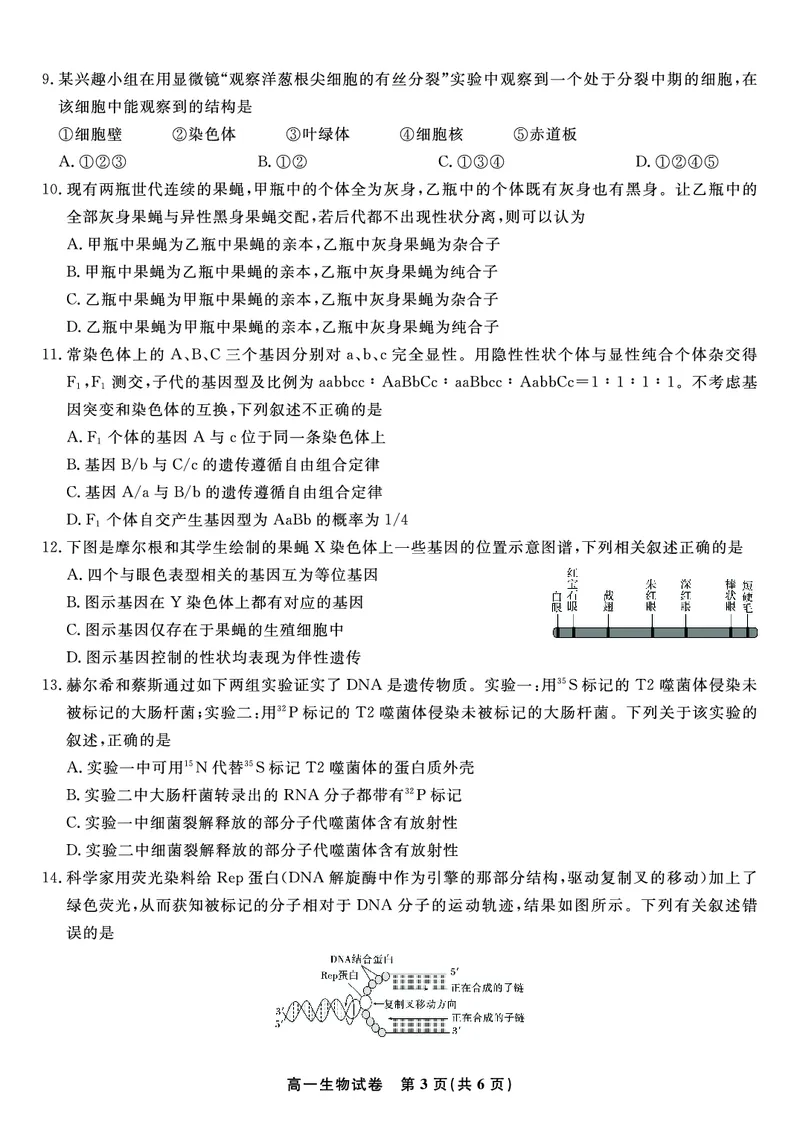 生物试题&middot;2025年7月高一期末联考_2024-2025高一（7-7月题库）_2025年7月_250706安徽省金榜教育2024-2025学年高一下学期期末考试