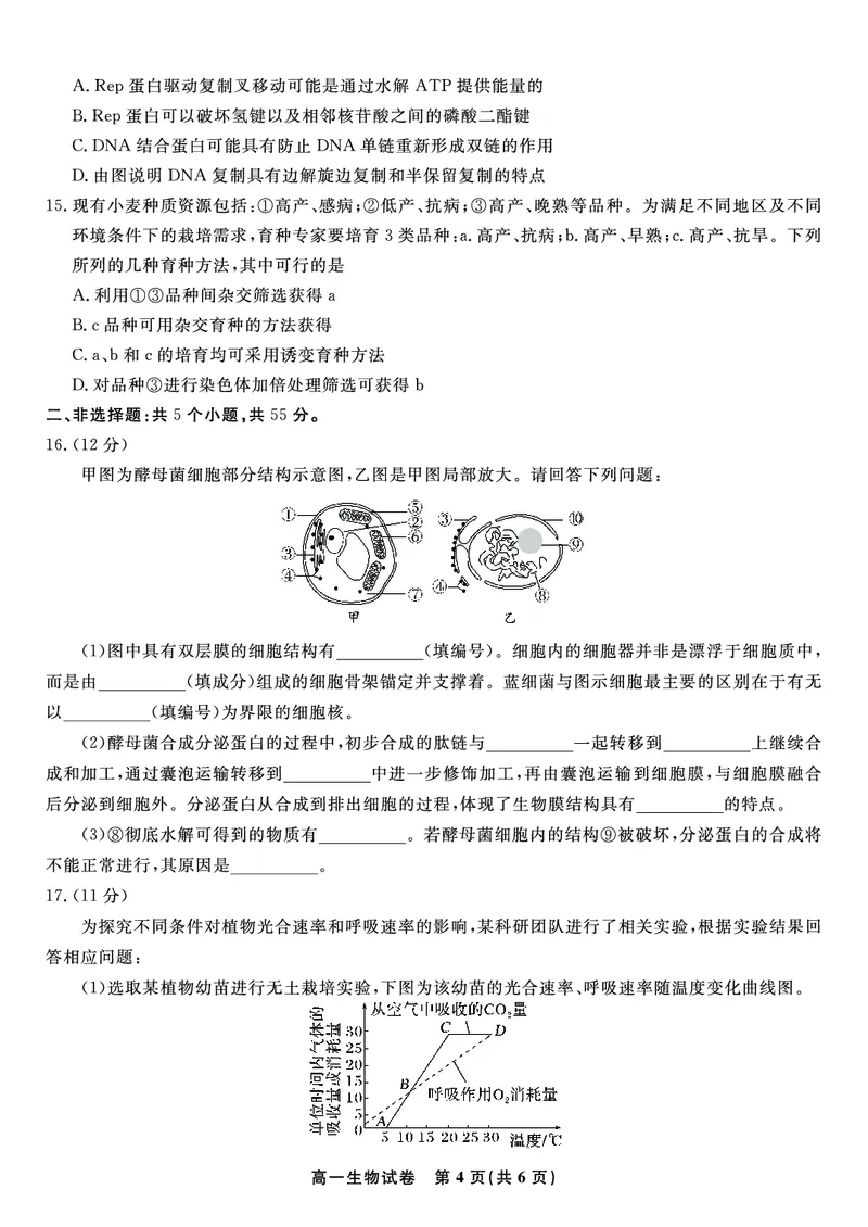 生物试题&middot;2025年7月高一期末联考_2024-2025高一（7-7月题库）_2025年7月_250706安徽省金榜教育2024-2025学年高一下学期期末考试