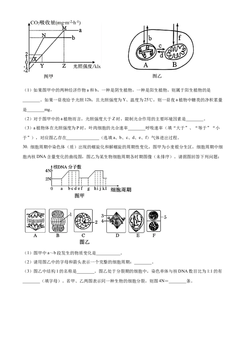 湖南省岳阳市2024-2025学年高一上学期期末考试生物试题（含答案）_2024-2025高一（7-7月题库）_2025年03月试卷_0312湖南省岳阳市2024-2025学年高一上学期期末