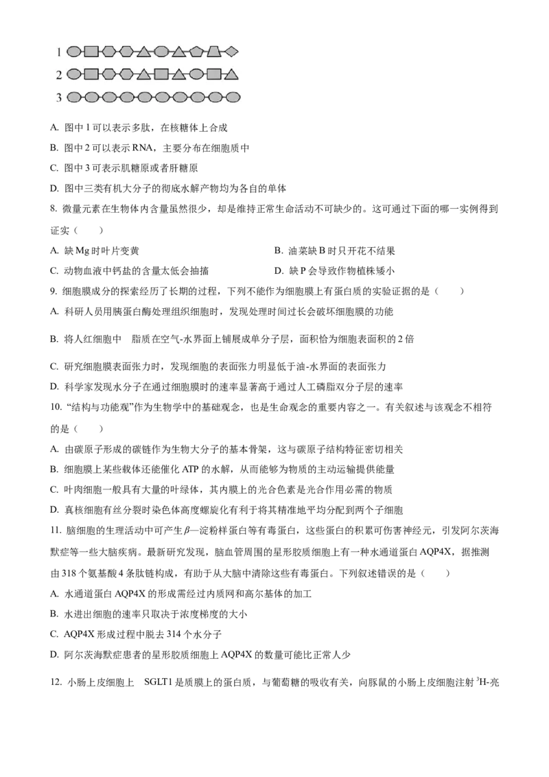 湖南省岳阳市2024-2025学年高一上学期期末考试生物试题（含答案）_2024-2025高一（7-7月题库）_2025年03月试卷_0312湖南省岳阳市2024-2025学年高一上学期期末