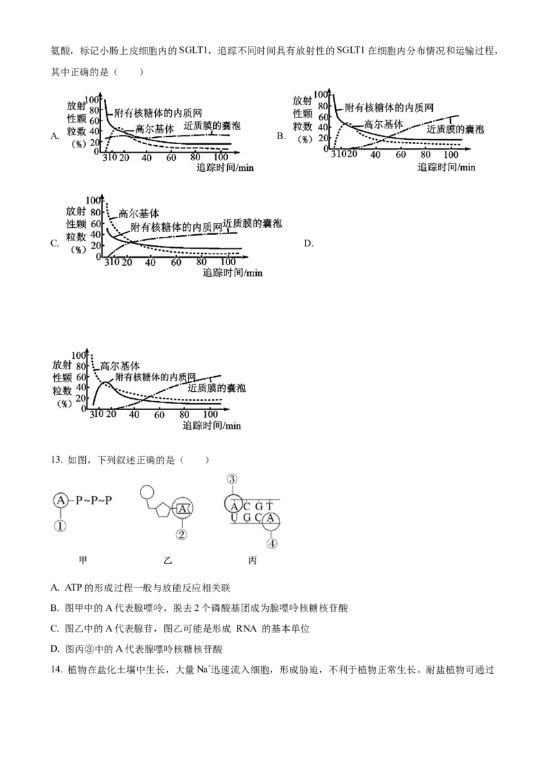 湖南省岳阳市2024-2025学年高一上学期期末考试生物试题（含答案）_2024-2025高一（7-7月题库）_2025年03月试卷_0312湖南省岳阳市2024-2025学年高一上学期期末