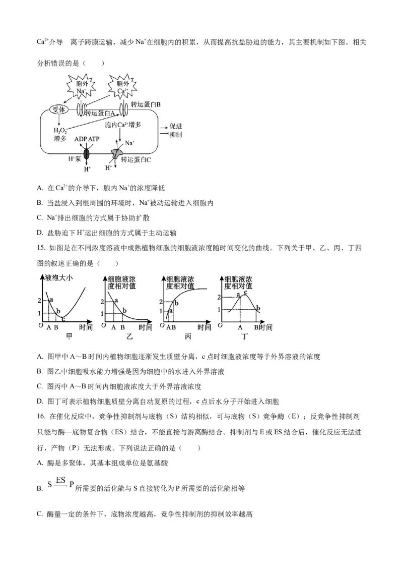 湖南省岳阳市2024-2025学年高一上学期期末考试生物试题（含答案）_2024-2025高一（7-7月题库）_2025年03月试卷_0312湖南省岳阳市2024-2025学年高一上学期期末