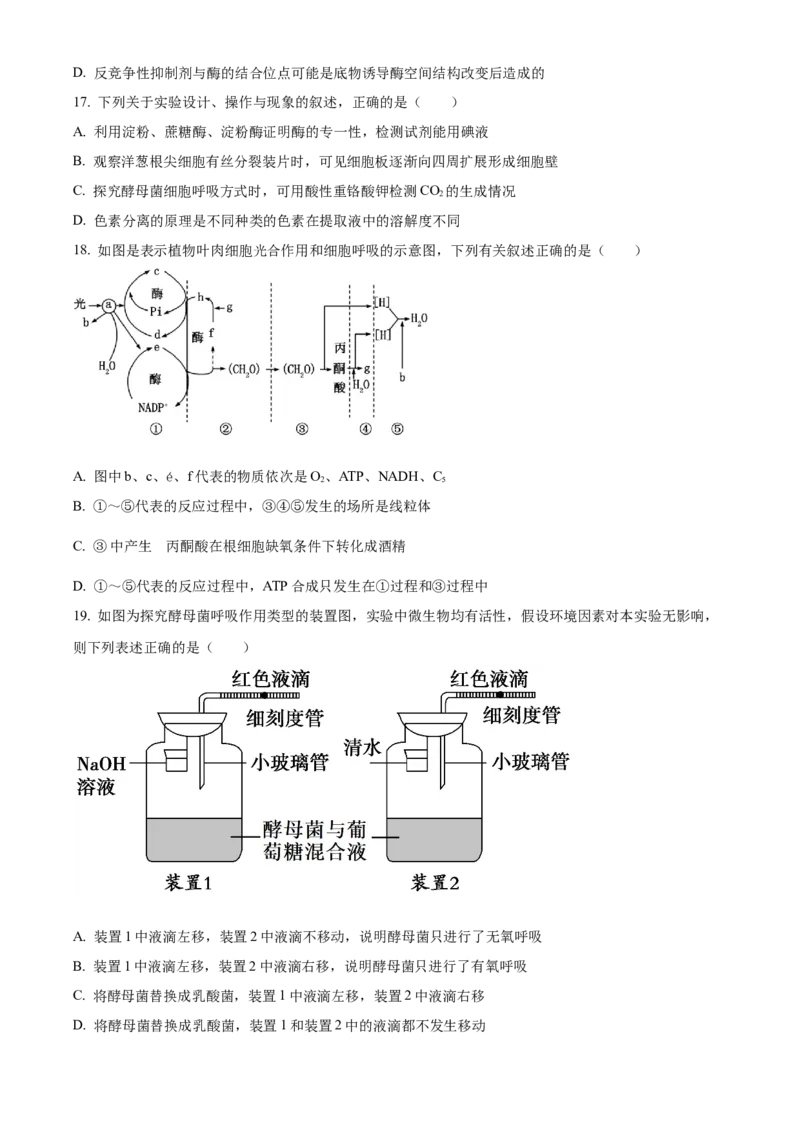 湖南省岳阳市2024-2025学年高一上学期期末考试生物试题（含答案）_2024-2025高一（7-7月题库）_2025年03月试卷_0312湖南省岳阳市2024-2025学年高一上学期期末