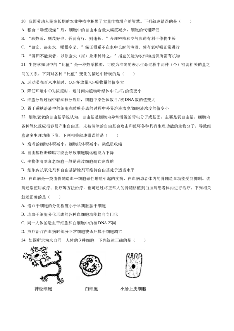 湖南省岳阳市2024-2025学年高一上学期期末考试生物试题（含答案）_2024-2025高一（7-7月题库）_2025年03月试卷_0312湖南省岳阳市2024-2025学年高一上学期期末