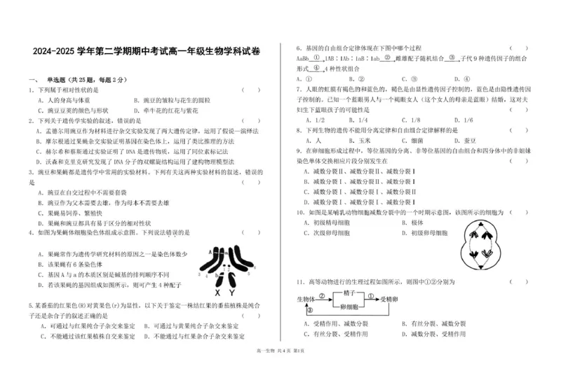 甘肃省兰州市第四片区2024-2025学年高一下学期期中考试生物PDF版含答案_2024-2025高一（7-7月题库）_2025年05月试卷_0512甘肃省兰州市第四片区2024-2025学年高一下学期期中考试