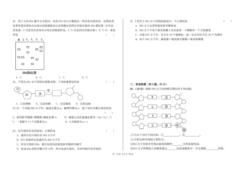 甘肃省兰州市第四片区2024-2025学年高一下学期期中考试生物PDF版含答案_2024-2025高一（7-7月题库）_2025年05月试卷_0512甘肃省兰州市第四片区2024-2025学年高一下学期期中考试