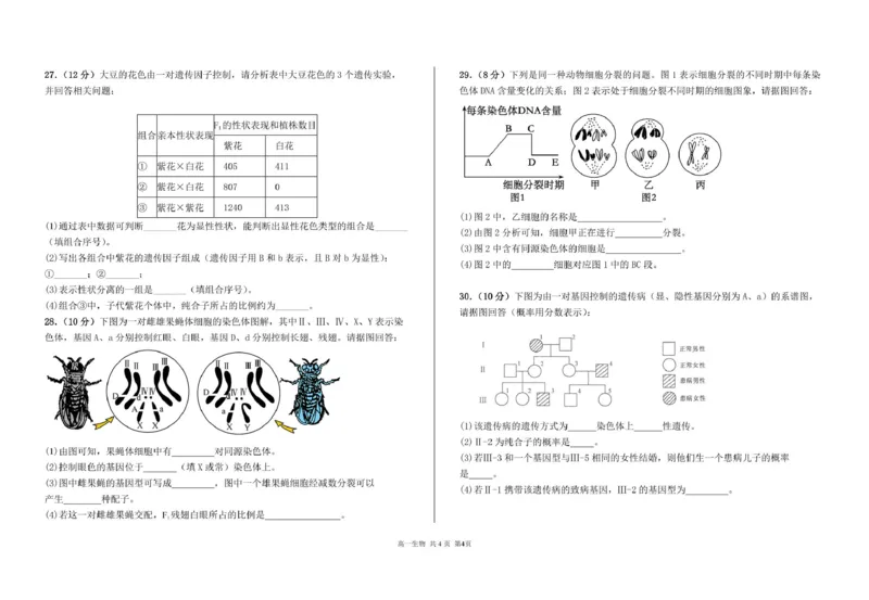 甘肃省兰州市第四片区2024-2025学年高一下学期期中考试生物PDF版含答案_2024-2025高一（7-7月题库）_2025年05月试卷_0512甘肃省兰州市第四片区2024-2025学年高一下学期期中考试