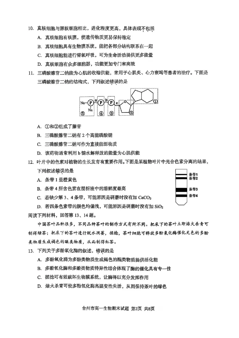 浙江省台州市2024学年第一学期高一年级期末质量评估试题生物(扫描版有答案)_2024-2025高一（7-7月题库）_2025年02月试卷_0218浙江省台州市2024-2025学年高一上学期期末质量评估考试