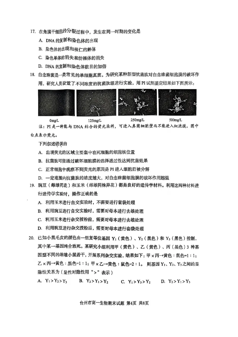 浙江省台州市2024学年第一学期高一年级期末质量评估试题生物(扫描版有答案)_2024-2025高一（7-7月题库）_2025年02月试卷_0218浙江省台州市2024-2025学年高一上学期期末质量评估考试