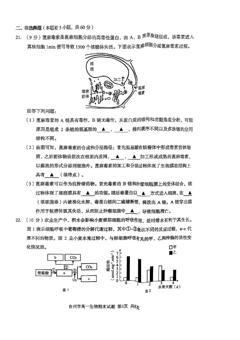 浙江省台州市2024学年第一学期高一年级期末质量评估试题生物(扫描版有答案)_2024-2025高一（7-7月题库）_2025年02月试卷_0218浙江省台州市2024-2025学年高一上学期期末质量评估考试