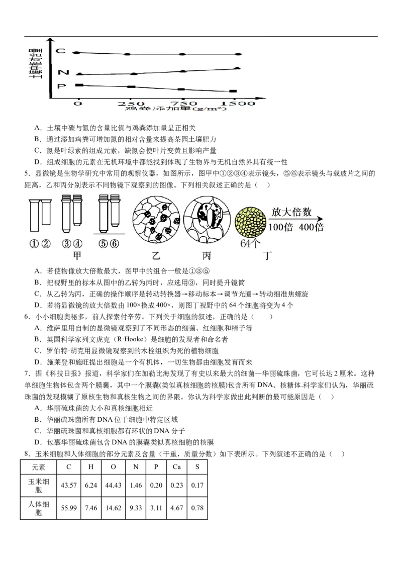 河南省许昌高级中学2024-2025学年高一上学期10月月考试题生物Word版含解析_2024-2025高一（7-7月题库）_2024年11月试卷_1104河南省许昌高级中学2024-2025学年高一上学期10月月考