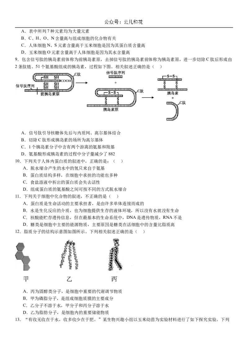 河南省许昌高级中学2024-2025学年高一上学期10月月考试题生物Word版含解析_2024-2025高一（7-7月题库）_2024年11月试卷_1104河南省许昌高级中学2024-2025学年高一上学期10月月考