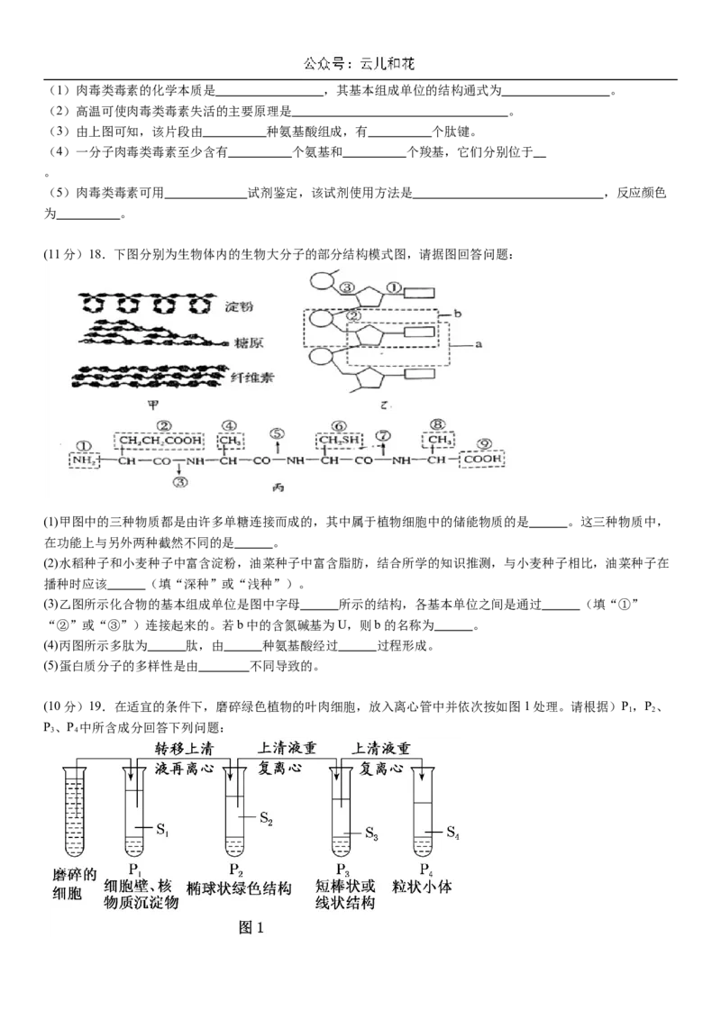 河南省许昌高级中学2024-2025学年高一上学期10月月考试题生物Word版含解析_2024-2025高一（7-7月题库）_2024年11月试卷_1104河南省许昌高级中学2024-2025学年高一上学期10月月考