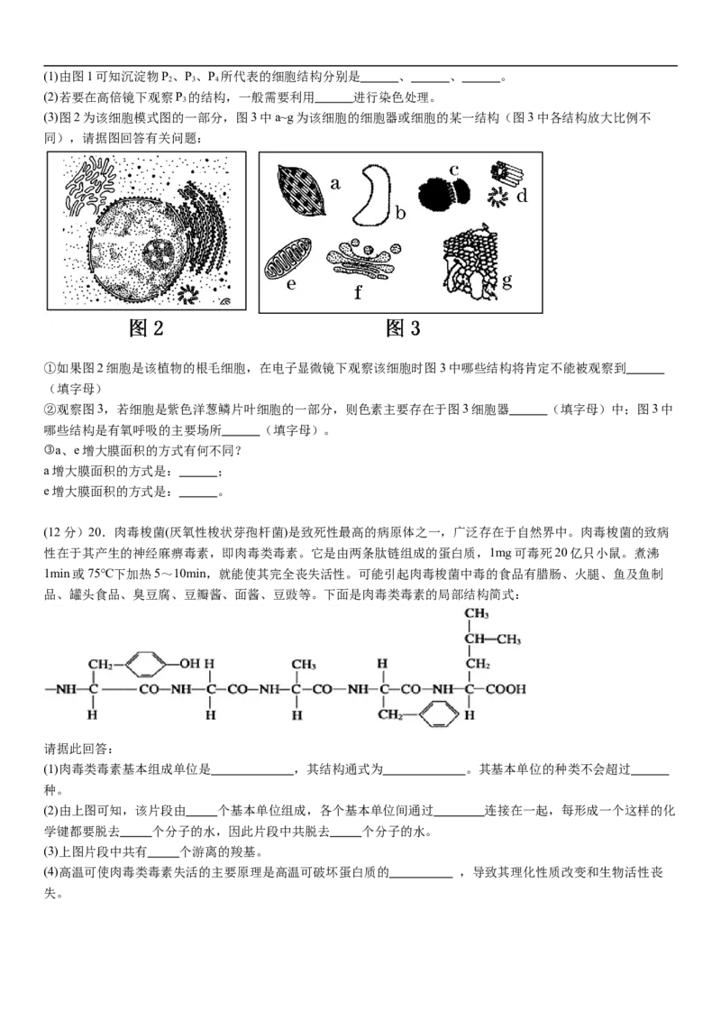 河南省许昌高级中学2024-2025学年高一上学期10月月考试题生物Word版含解析_2024-2025高一（7-7月题库）_2024年11月试卷_1104河南省许昌高级中学2024-2025学年高一上学期10月月考