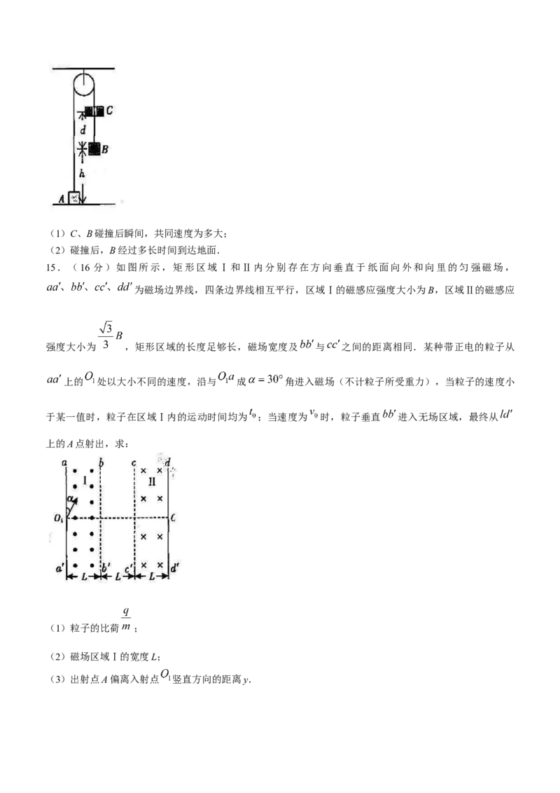 广东省韶关市2024届高三下学期综合测试（二）（韶关二模）物理(1)_2024年3月_013月合集_2024届广东省韶关市高三下学期综合测试（二）（韶关二模）