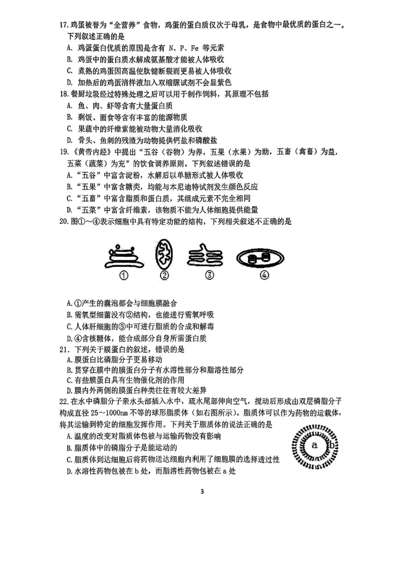 生物-浙江四校联考2024年高一10月月考_2024-2025高一（7-7月题库）_2024年10月试卷_1012浙江杭州周边重点中学四校联考2024-2025学年高一10月月考