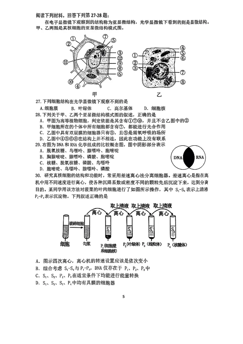 生物-浙江四校联考2024年高一10月月考_2024-2025高一（7-7月题库）_2024年10月试卷_1012浙江杭州周边重点中学四校联考2024-2025学年高一10月月考