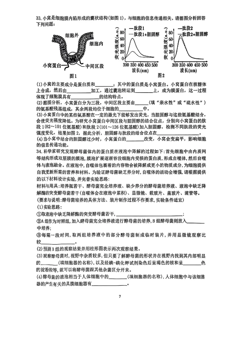 生物-浙江四校联考2024年高一10月月考_2024-2025高一（7-7月题库）_2024年10月试卷_1012浙江杭州周边重点中学四校联考2024-2025学年高一10月月考
