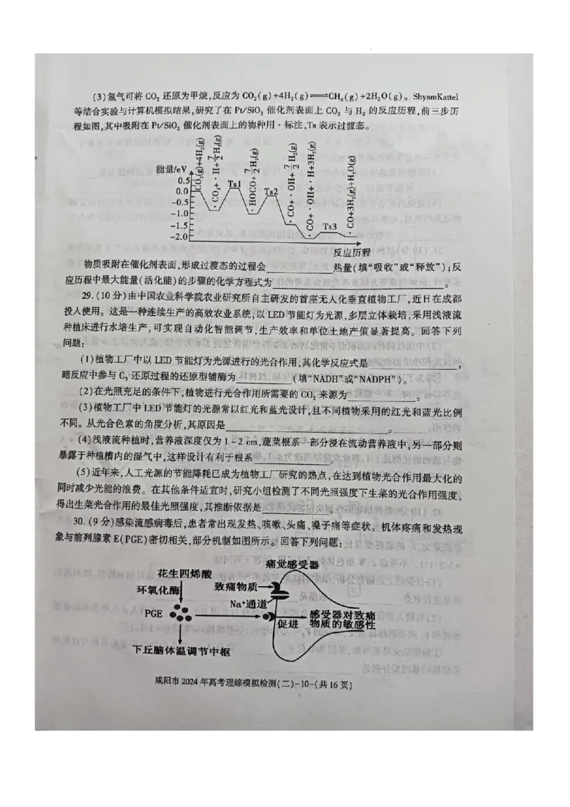 咸阳市2024高考模拟检测（二）理综试题_2024年3月_013月合集_2024届陕西省咸阳市高三下学期高考模拟检测(二)_2024届陕西省咸阳市高三下学期模拟检测（二）理综试题