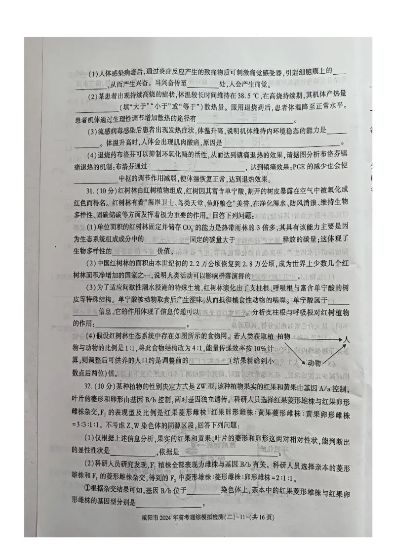 咸阳市2024高考模拟检测（二）理综试题_2024年3月_013月合集_2024届陕西省咸阳市高三下学期高考模拟检测(二)_2024届陕西省咸阳市高三下学期模拟检测（二）理综试题