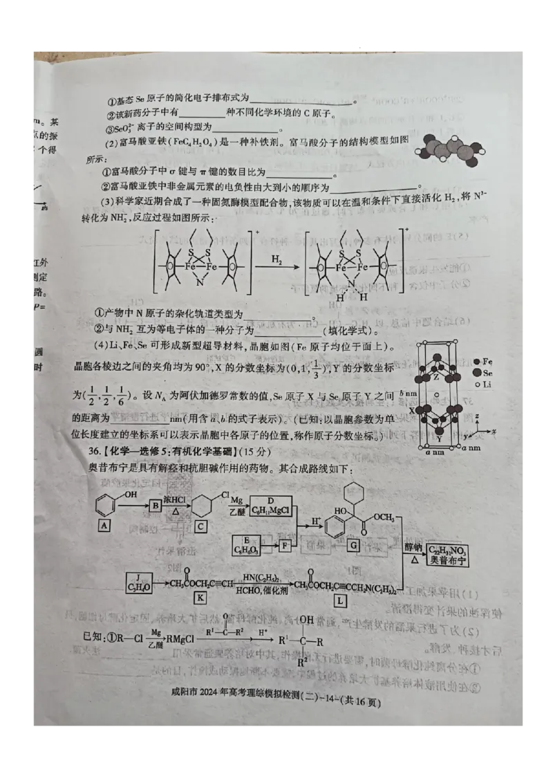 咸阳市2024高考模拟检测（二）理综试题_2024年3月_013月合集_2024届陕西省咸阳市高三下学期高考模拟检测(二)_2024届陕西省咸阳市高三下学期模拟检测（二）理综试题
