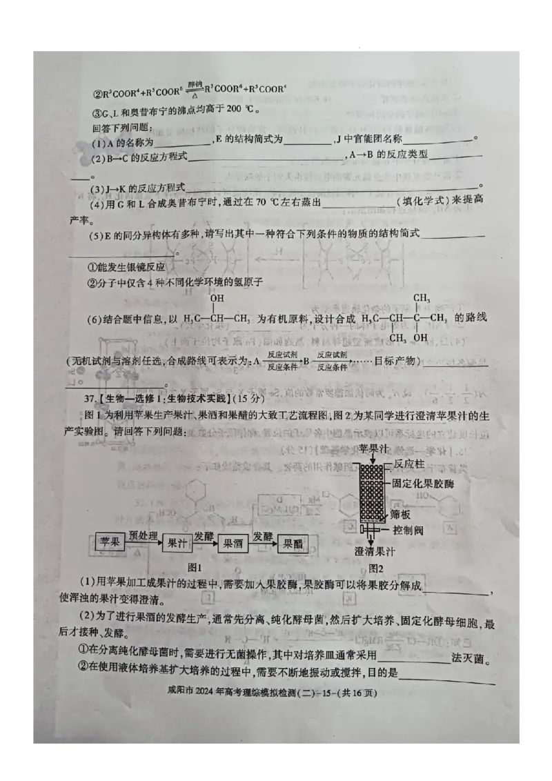 咸阳市2024高考模拟检测（二）理综试题_2024年3月_013月合集_2024届陕西省咸阳市高三下学期高考模拟检测(二)_2024届陕西省咸阳市高三下学期模拟检测（二）理综试题
