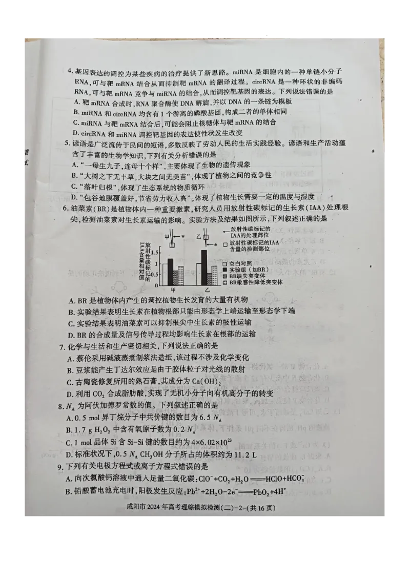 咸阳市2024高考模拟检测（二）理综试题_2024年3月_013月合集_2024届陕西省咸阳市高三下学期高考模拟检测(二)_2024届陕西省咸阳市高三下学期模拟检测（二）理综试题