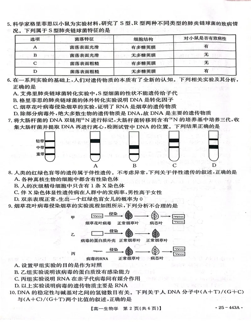 河北省邢台市质检联盟2024-2025学年高一下学期期中生物试卷（扫描版含解析）_2024-2025高一（7-7月题库）_2025年05月试卷_0525河北省邢台市质检联盟2024-2025学年高一下学期期中考试