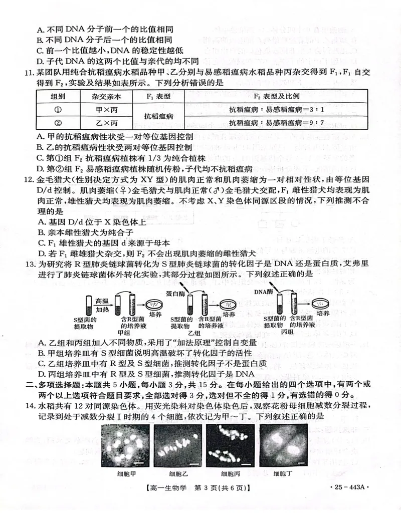 河北省邢台市质检联盟2024-2025学年高一下学期期中生物试卷（扫描版含解析）_2024-2025高一（7-7月题库）_2025年05月试卷_0525河北省邢台市质检联盟2024-2025学年高一下学期期中考试