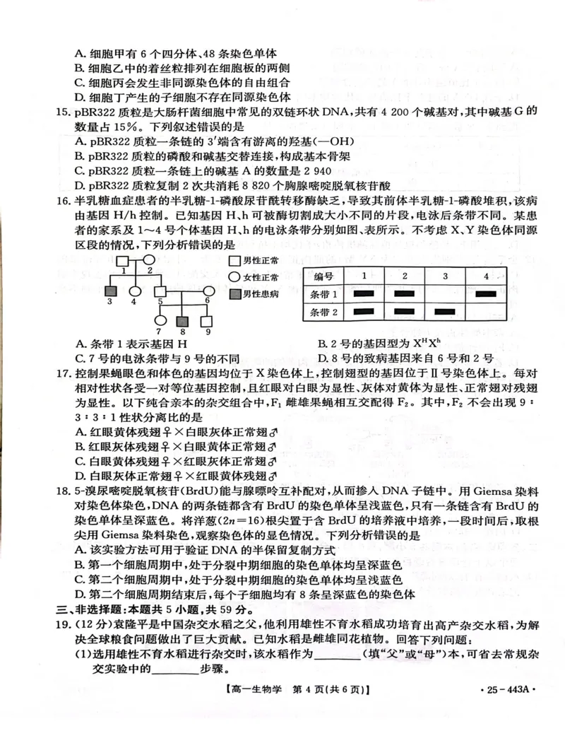 河北省邢台市质检联盟2024-2025学年高一下学期期中生物试卷（扫描版含解析）_2024-2025高一（7-7月题库）_2025年05月试卷_0525河北省邢台市质检联盟2024-2025学年高一下学期期中考试