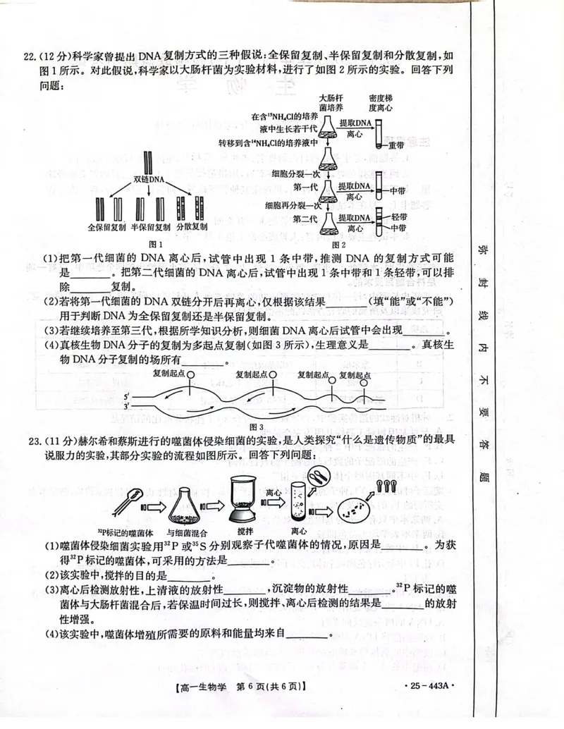 河北省邢台市质检联盟2024-2025学年高一下学期期中生物试卷（扫描版含解析）_2024-2025高一（7-7月题库）_2025年05月试卷_0525河北省邢台市质检联盟2024-2025学年高一下学期期中考试