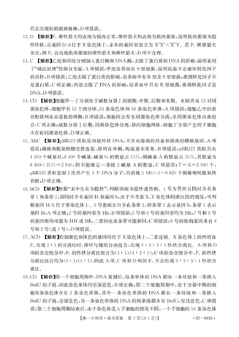 河北省邢台市质检联盟2024-2025学年高一下学期期中生物试卷（扫描版含解析）_2024-2025高一（7-7月题库）_2025年05月试卷_0525河北省邢台市质检联盟2024-2025学年高一下学期期中考试
