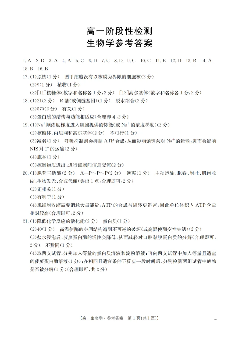 生物学答案_扫描版_2024-2025高一（7-7月题库）_2026年1月高一_260130金太阳&middot;甘肃省天水市2025-2026学年高一上学期1月月考阶段性检测（全）