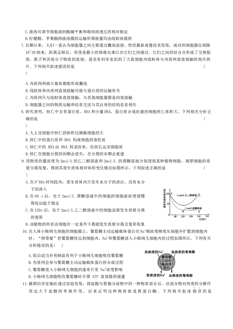 河北省邢台市名校联考2024-2025学年高一下学期7月期末考试生物Word版含答案_2024-2025高一（7-7月题库）_2025年7月_250715河北省邢台市名校联考2024-2025学年高一下学期7月期末