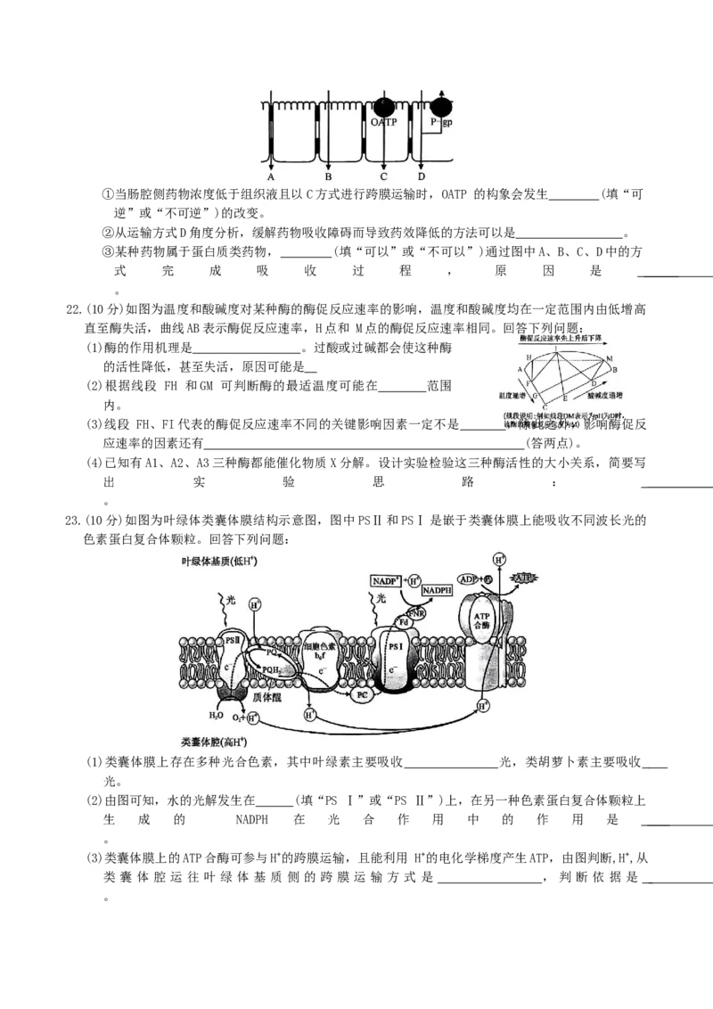 河北省邢台市名校联考2024-2025学年高一下学期7月期末考试生物Word版含答案_2024-2025高一（7-7月题库）_2025年7月_250715河北省邢台市名校联考2024-2025学年高一下学期7月期末