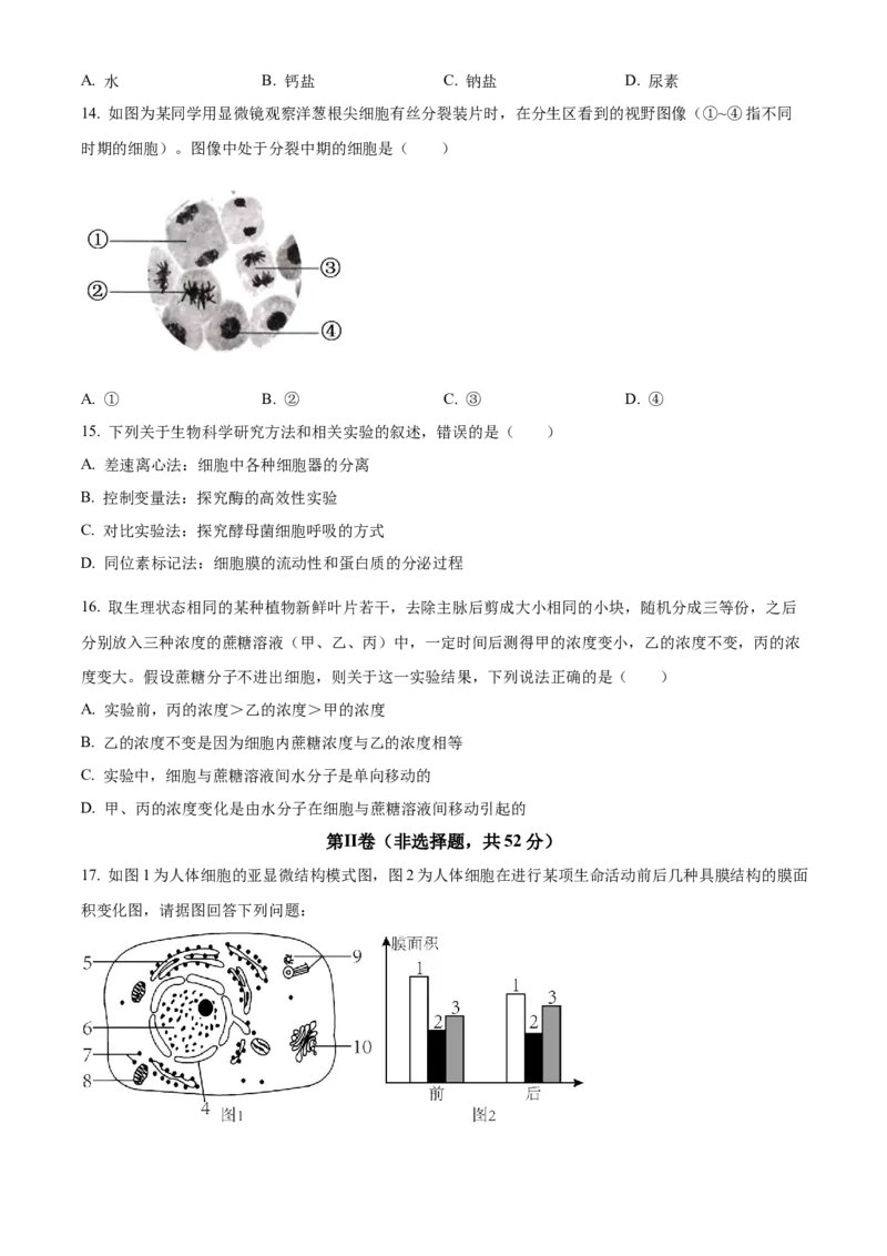 甘肃省兰州市城关区甘肃省兰州第一中学2024-2025学年高一下学期开学生物学试题（含答案）_2024-2025高一（7-7月题库）_2025年03月试卷