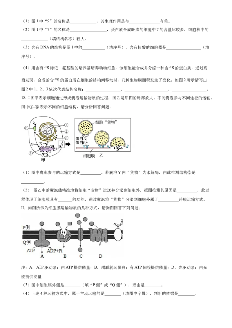 甘肃省兰州市城关区甘肃省兰州第一中学2024-2025学年高一下学期开学生物学试题（含答案）_2024-2025高一（7-7月题库）_2025年03月试卷