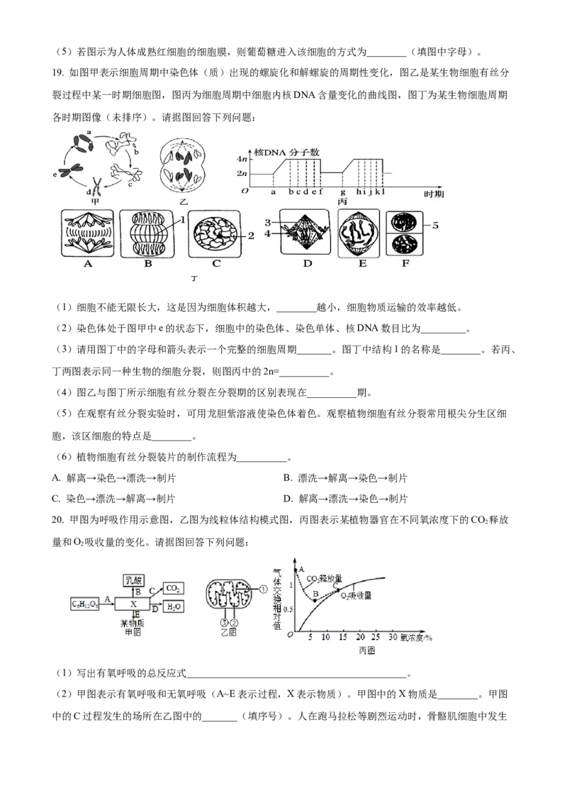 甘肃省兰州市城关区甘肃省兰州第一中学2024-2025学年高一下学期开学生物学试题（含答案）_2024-2025高一（7-7月题库）_2025年03月试卷