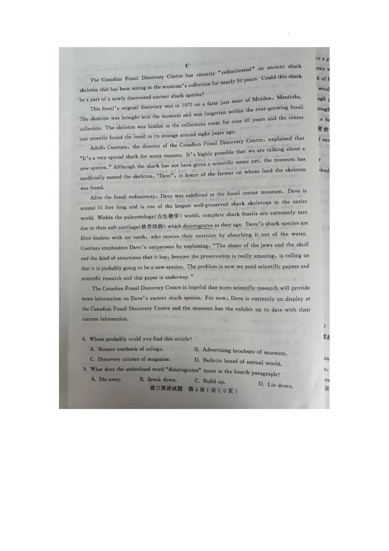 山东省聊城市2024届高三上学期期末教学质量检测英语(1)_2024年2月_022月合集_2024届山东省聊城市高三上学期期末教学质量检测
