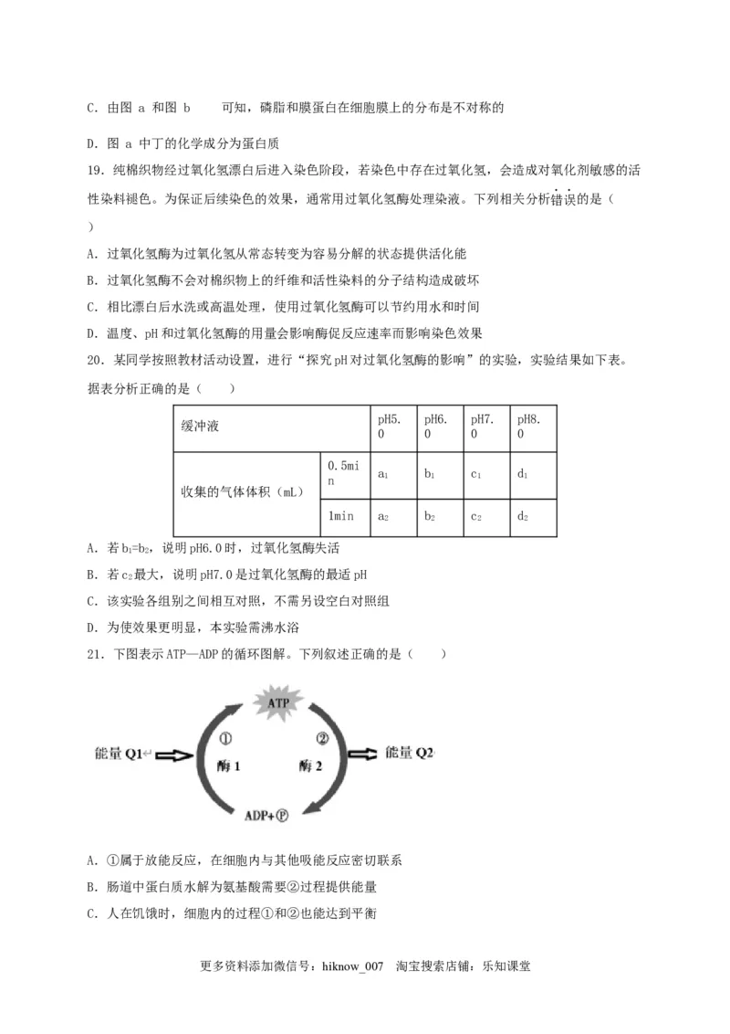 高一生物上学期期末测试卷02（人教版必修1）（原卷版）_E015高中全科试卷_生物试题_必修1_4.期末试卷_1.模拟题_高一生物上学期期末测试卷02（人教版必修1）